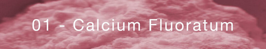 No. 1 – Calcium fluoratum – The salt of connective tissue, joints and skin